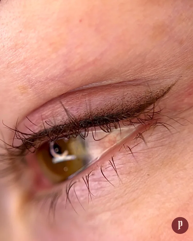 Healed eyeliner tattoo — dark soft-shaded liner on closed eye