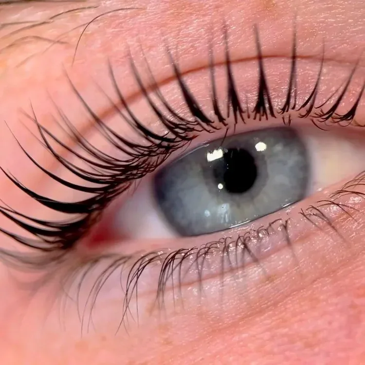 Lash lift close macro — blue-grey iris with beautifully lifted natural lashes